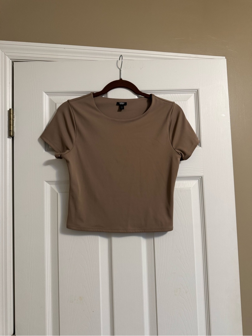 Express Cropped Crewneck Top in Taupe